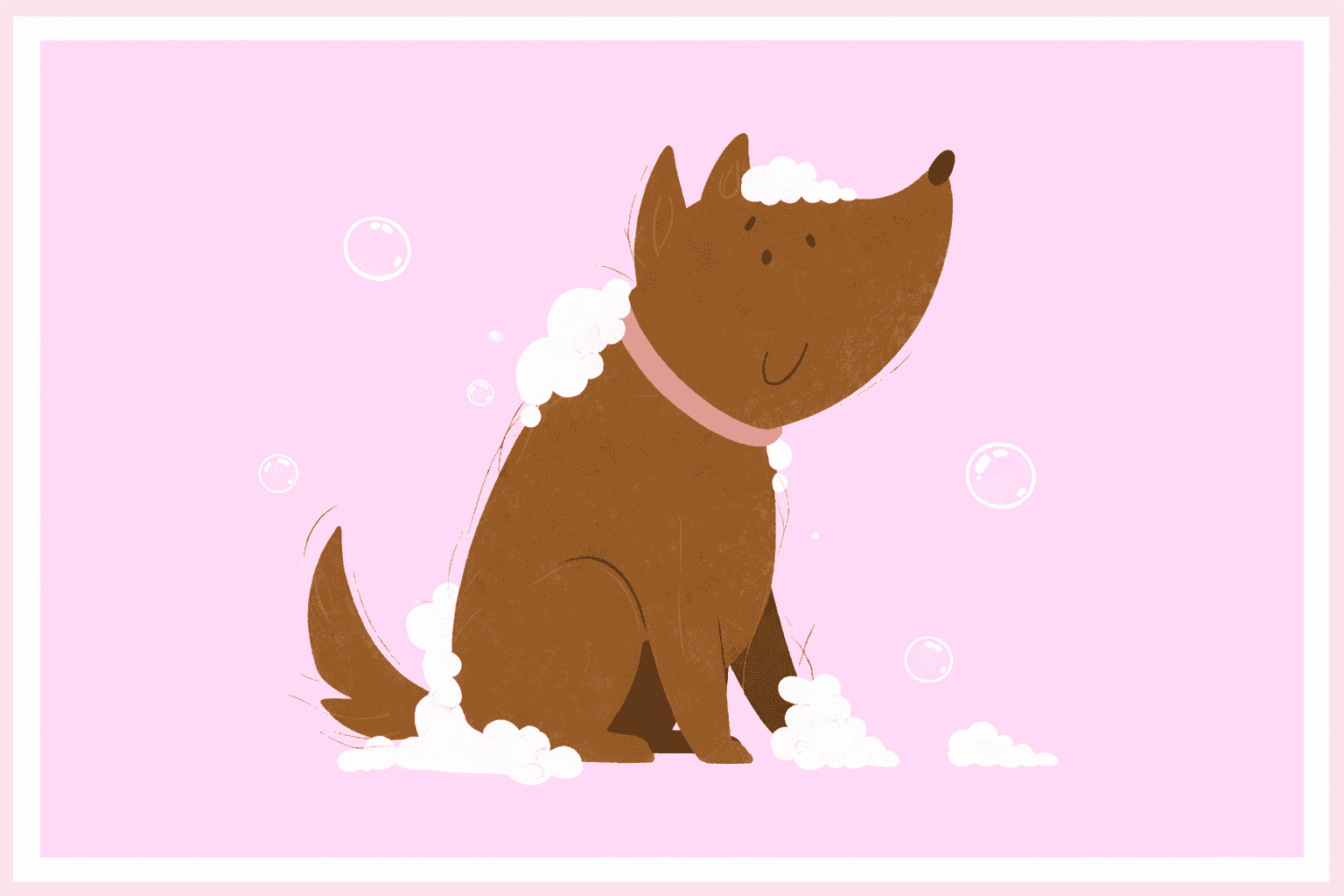 Specialist grooming pet gently